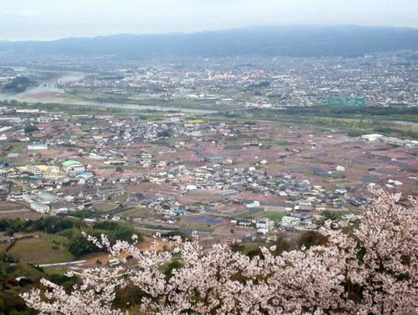 A17c9aaa61e80a1bf71d0d850af4e5baa9800bbd