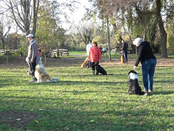 A17c9aaa61e80a1bf71d0d850af4e5baa9800bbd