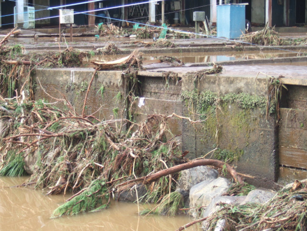 A17c9aaa61e80a1bf71d0d850af4e5baa9800bbd