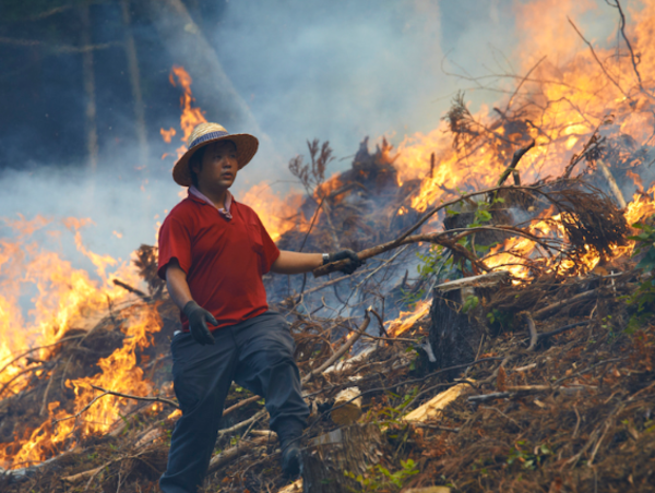 A17c9aaa61e80a1bf71d0d850af4e5baa9800bbd