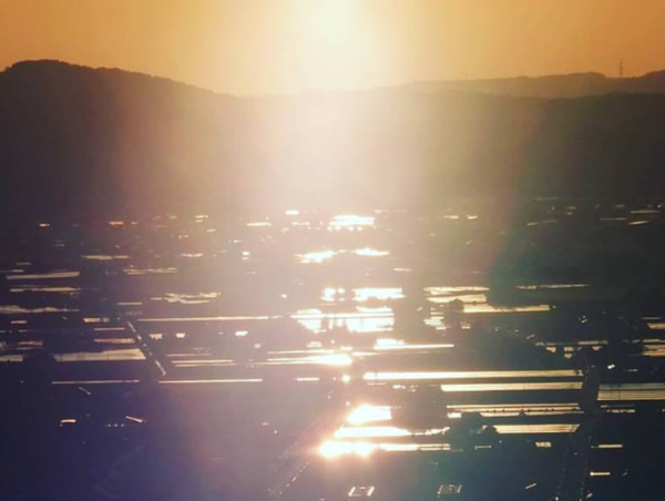 A17c9aaa61e80a1bf71d0d850af4e5baa9800bbd