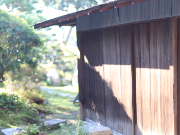 A17c9aaa61e80a1bf71d0d850af4e5baa9800bbd