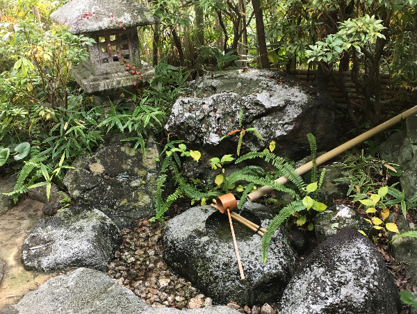 A17c9aaa61e80a1bf71d0d850af4e5baa9800bbd