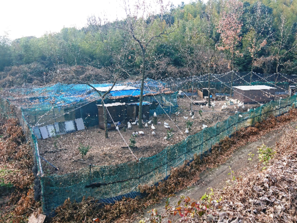 A17c9aaa61e80a1bf71d0d850af4e5baa9800bbd