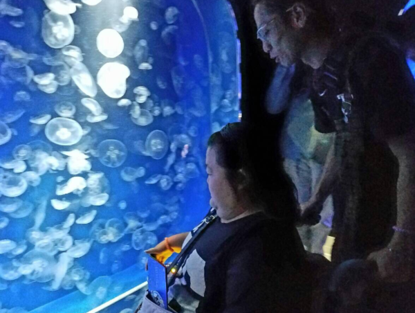 A17c9aaa61e80a1bf71d0d850af4e5baa9800bbd