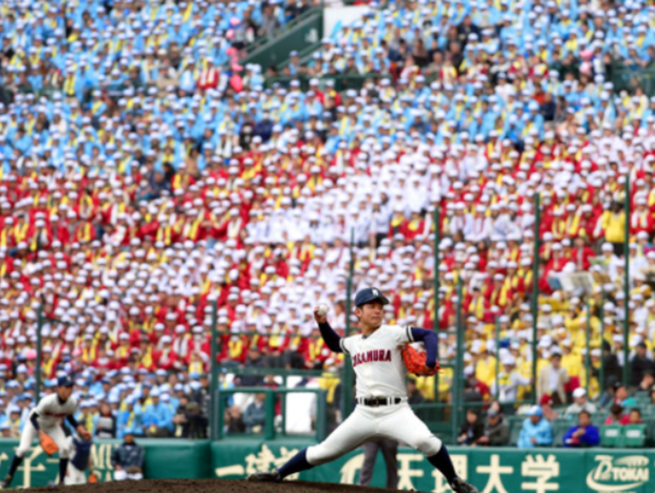 A17c9aaa61e80a1bf71d0d850af4e5baa9800bbd