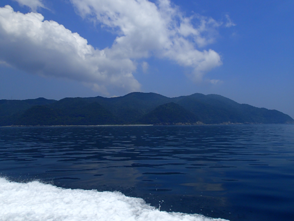 A17c9aaa61e80a1bf71d0d850af4e5baa9800bbd