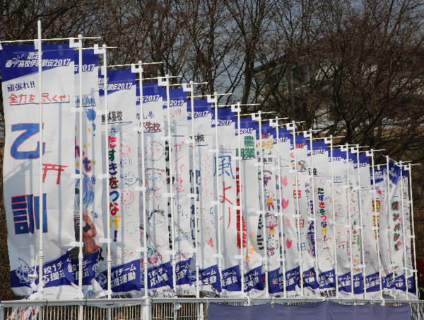 A17c9aaa61e80a1bf71d0d850af4e5baa9800bbd