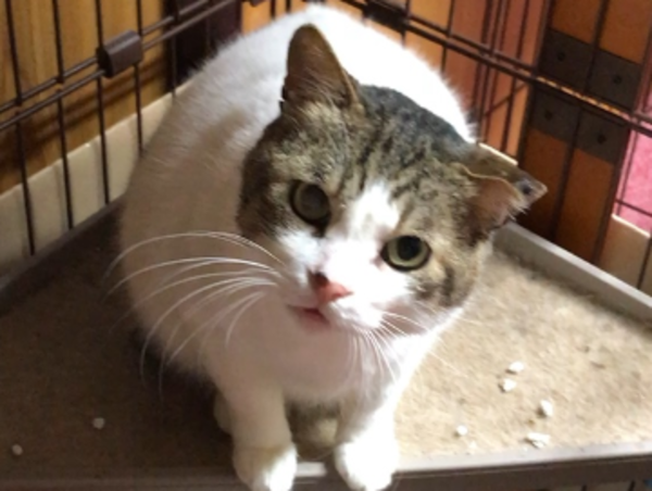 A17c9aaa61e80a1bf71d0d850af4e5baa9800bbd