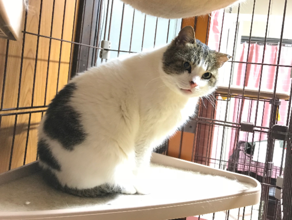 A17c9aaa61e80a1bf71d0d850af4e5baa9800bbd