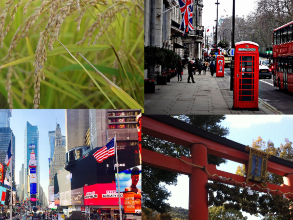 A17c9aaa61e80a1bf71d0d850af4e5baa9800bbd