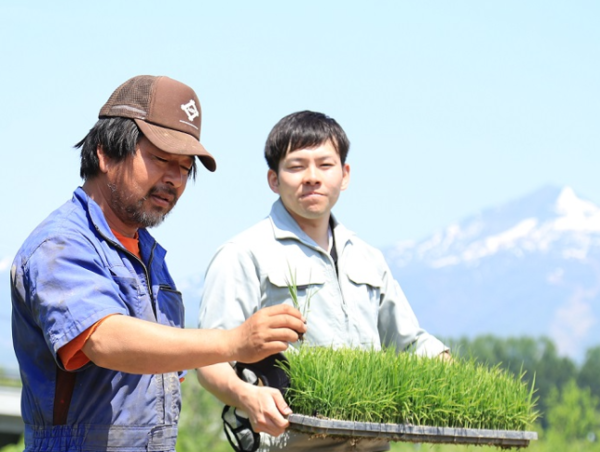 A17c9aaa61e80a1bf71d0d850af4e5baa9800bbd