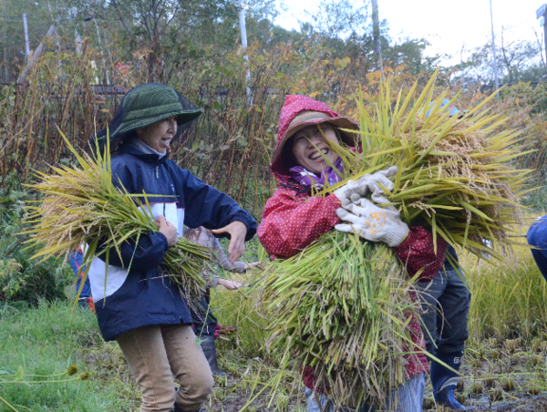 A17c9aaa61e80a1bf71d0d850af4e5baa9800bbd