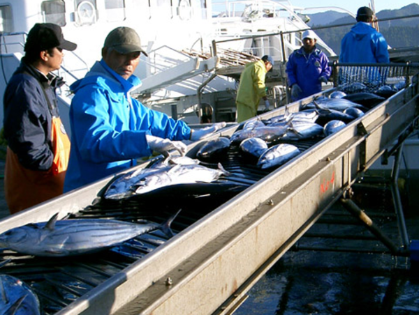 A17c9aaa61e80a1bf71d0d850af4e5baa9800bbd