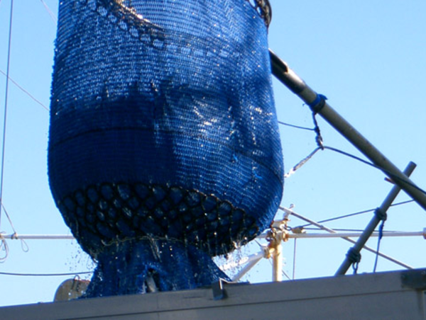 A17c9aaa61e80a1bf71d0d850af4e5baa9800bbd