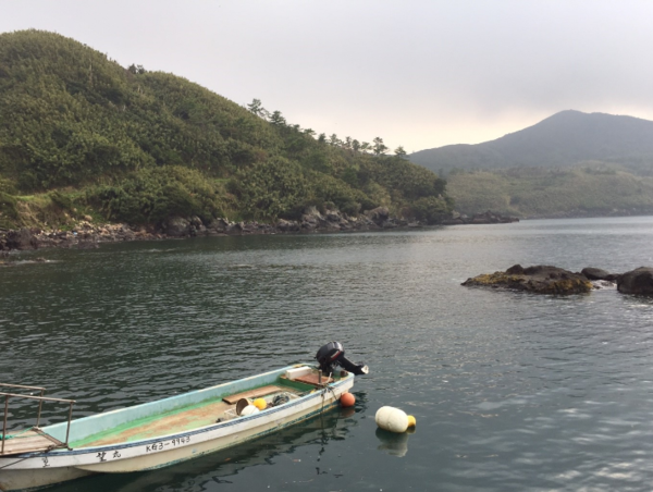 A17c9aaa61e80a1bf71d0d850af4e5baa9800bbd