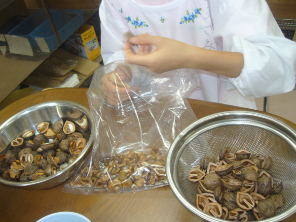 A17c9aaa61e80a1bf71d0d850af4e5baa9800bbd