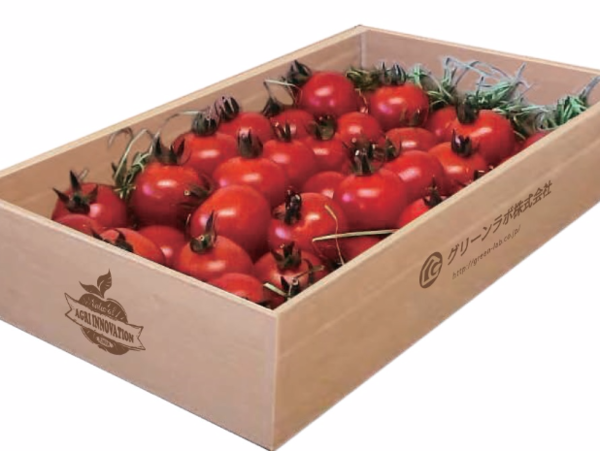 A17c9aaa61e80a1bf71d0d850af4e5baa9800bbd