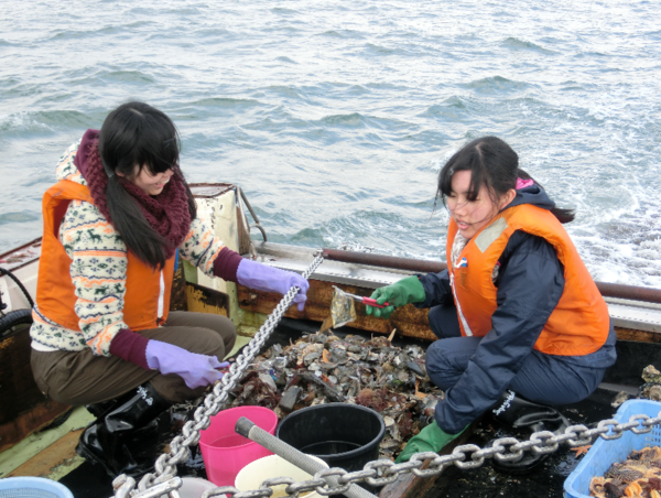 A17c9aaa61e80a1bf71d0d850af4e5baa9800bbd