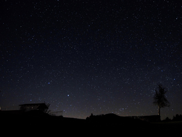 A17c9aaa61e80a1bf71d0d850af4e5baa9800bbd