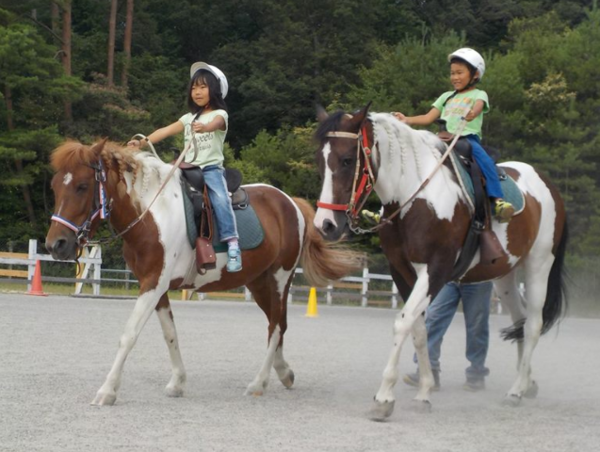 A17c9aaa61e80a1bf71d0d850af4e5baa9800bbd