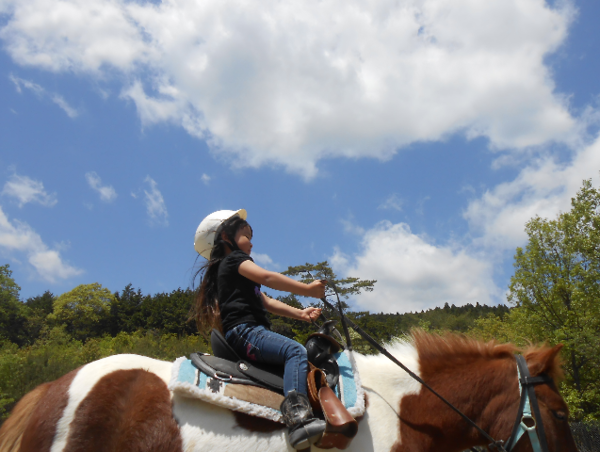 A17c9aaa61e80a1bf71d0d850af4e5baa9800bbd