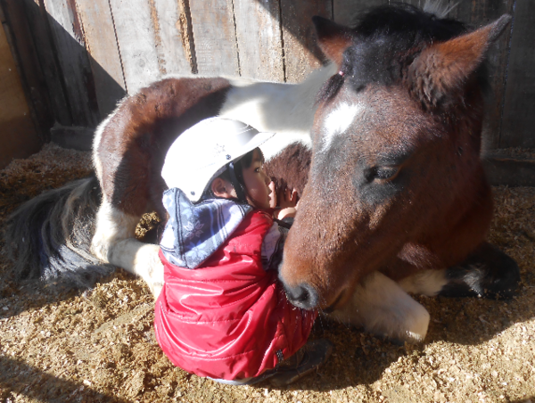 A17c9aaa61e80a1bf71d0d850af4e5baa9800bbd