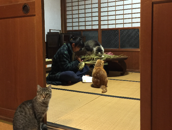 A17c9aaa61e80a1bf71d0d850af4e5baa9800bbd