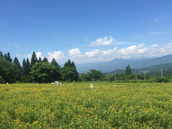 A17c9aaa61e80a1bf71d0d850af4e5baa9800bbd