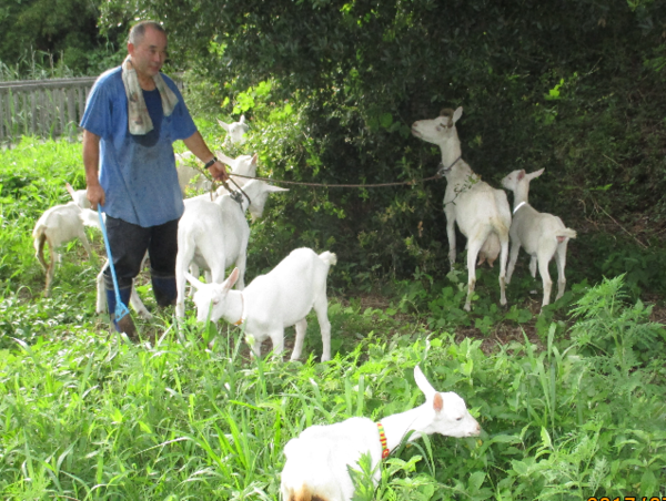 A17c9aaa61e80a1bf71d0d850af4e5baa9800bbd