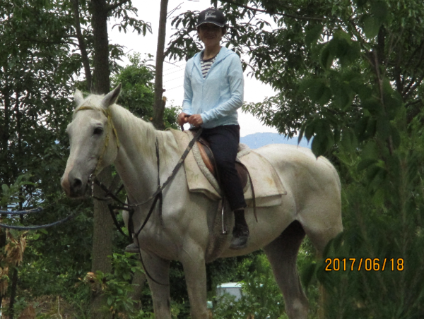 A17c9aaa61e80a1bf71d0d850af4e5baa9800bbd