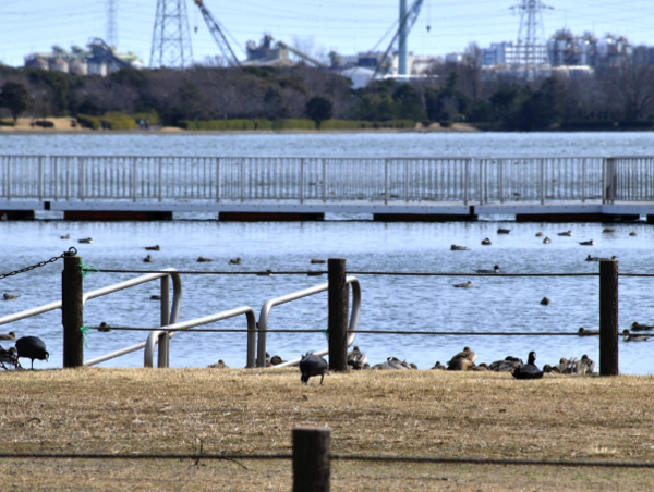 A17c9aaa61e80a1bf71d0d850af4e5baa9800bbd