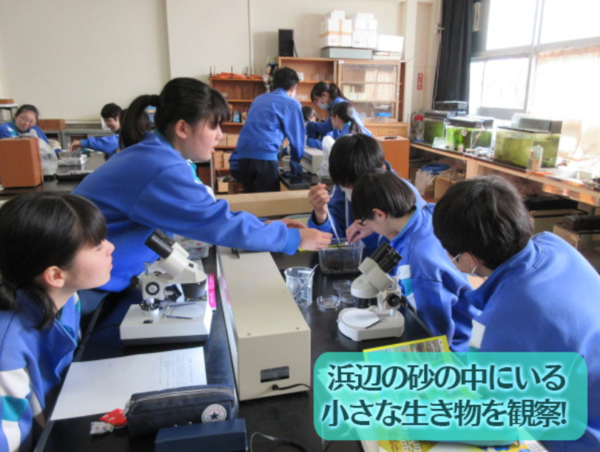 A17c9aaa61e80a1bf71d0d850af4e5baa9800bbd