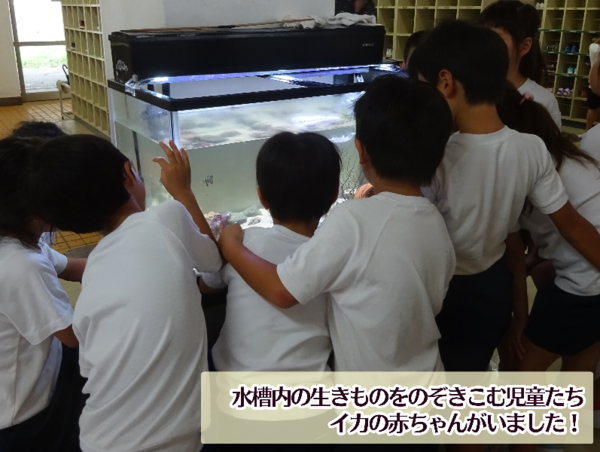 A17c9aaa61e80a1bf71d0d850af4e5baa9800bbd