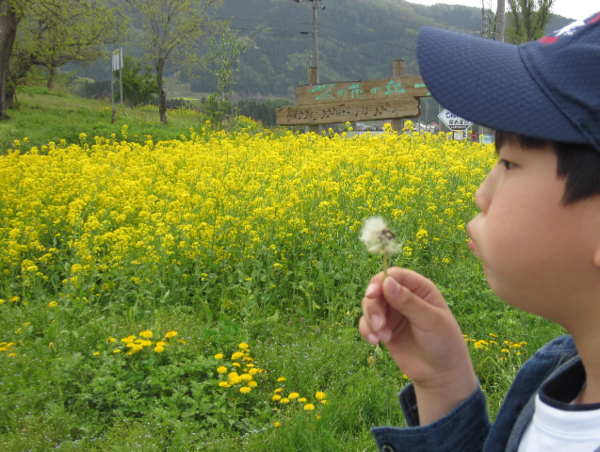 A17c9aaa61e80a1bf71d0d850af4e5baa9800bbd