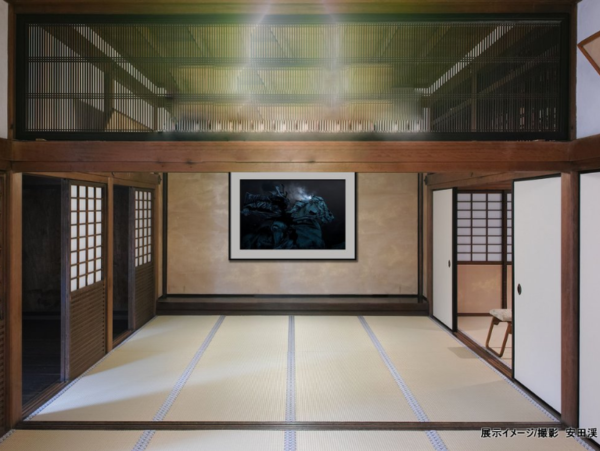 A17c9aaa61e80a1bf71d0d850af4e5baa9800bbd