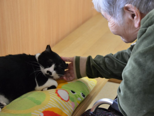 A17c9aaa61e80a1bf71d0d850af4e5baa9800bbd