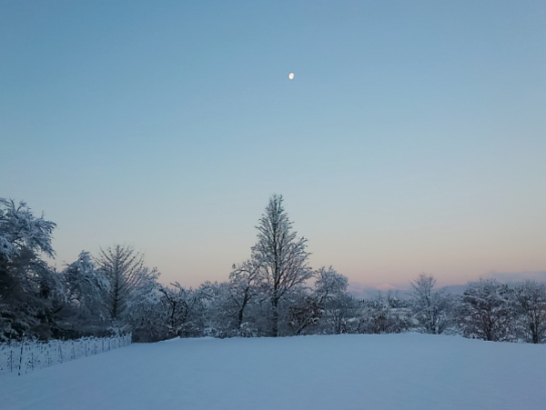 A17c9aaa61e80a1bf71d0d850af4e5baa9800bbd