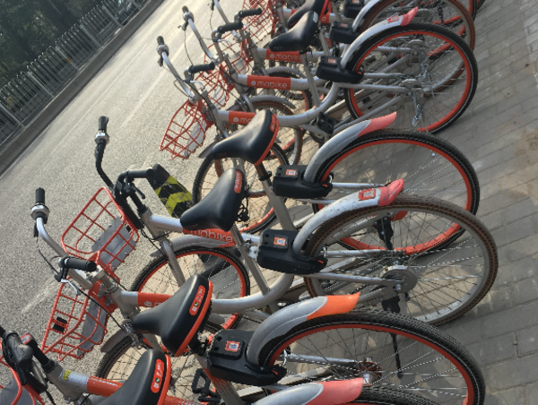 A17c9aaa61e80a1bf71d0d850af4e5baa9800bbd