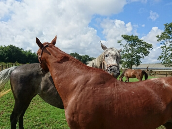 A17c9aaa61e80a1bf71d0d850af4e5baa9800bbd