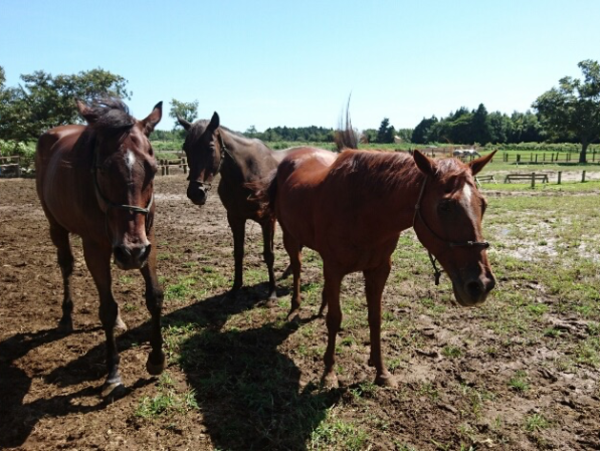 A17c9aaa61e80a1bf71d0d850af4e5baa9800bbd