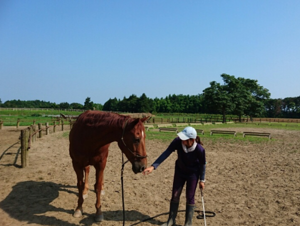 A17c9aaa61e80a1bf71d0d850af4e5baa9800bbd