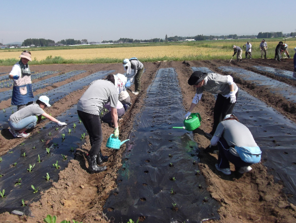 A17c9aaa61e80a1bf71d0d850af4e5baa9800bbd