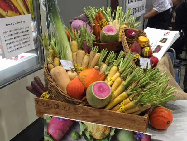 A17c9aaa61e80a1bf71d0d850af4e5baa9800bbd