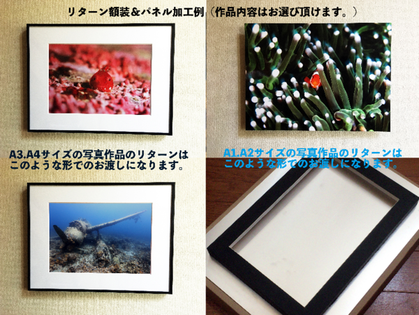 A17c9aaa61e80a1bf71d0d850af4e5baa9800bbd