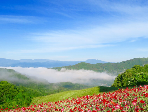 A17c9aaa61e80a1bf71d0d850af4e5baa9800bbd