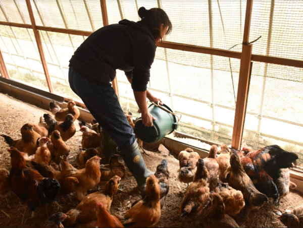 A17c9aaa61e80a1bf71d0d850af4e5baa9800bbd