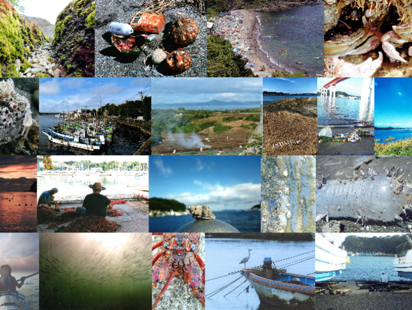 A17c9aaa61e80a1bf71d0d850af4e5baa9800bbd