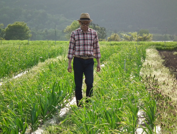 A17c9aaa61e80a1bf71d0d850af4e5baa9800bbd