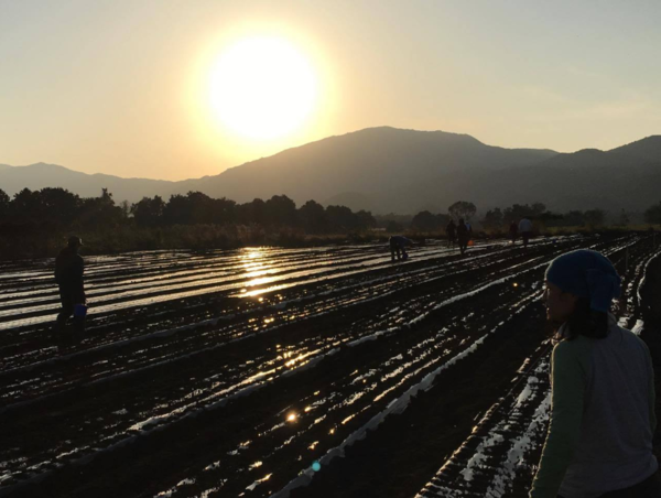 A17c9aaa61e80a1bf71d0d850af4e5baa9800bbd